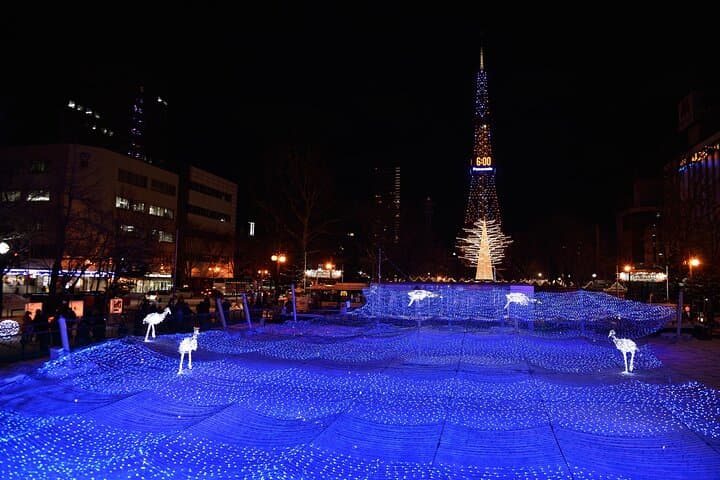 [Sapporo] Let's go to Mt. Moiwa & Sapporo Night View by chartered car! ! — photo 10