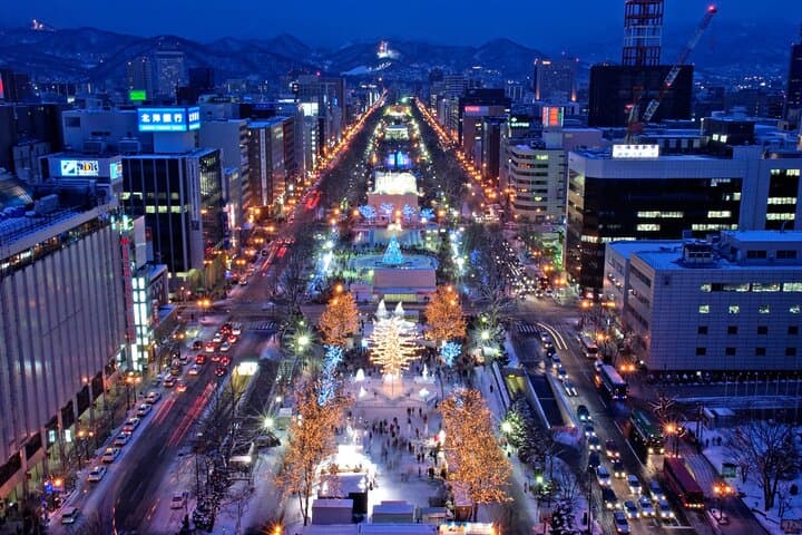 [Sapporo] Let's go to Mt. Moiwa & Sapporo Night View by chartered car! ! — photo 14