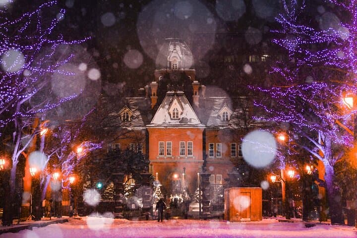 [Sapporo] Let's go to Mt. Moiwa & Sapporo Night View by chartered car! ! — photo 17