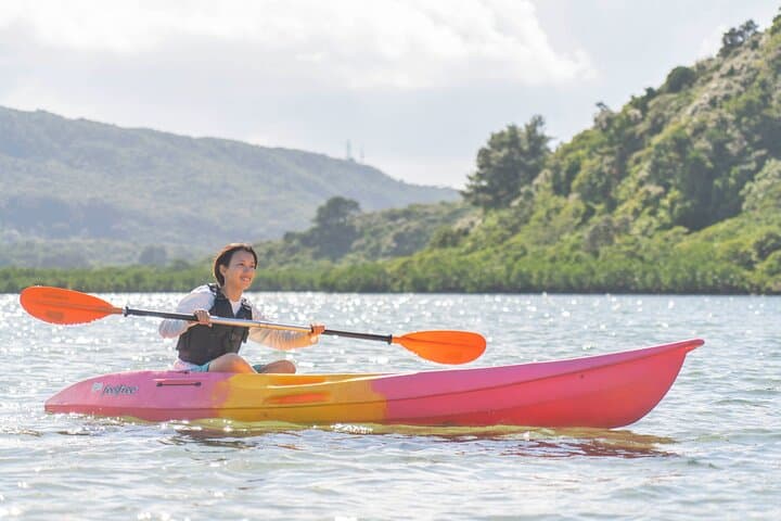 Iriomote Island 1-Day Snorkeling & Mangrove SUP or Canoe — photo 16