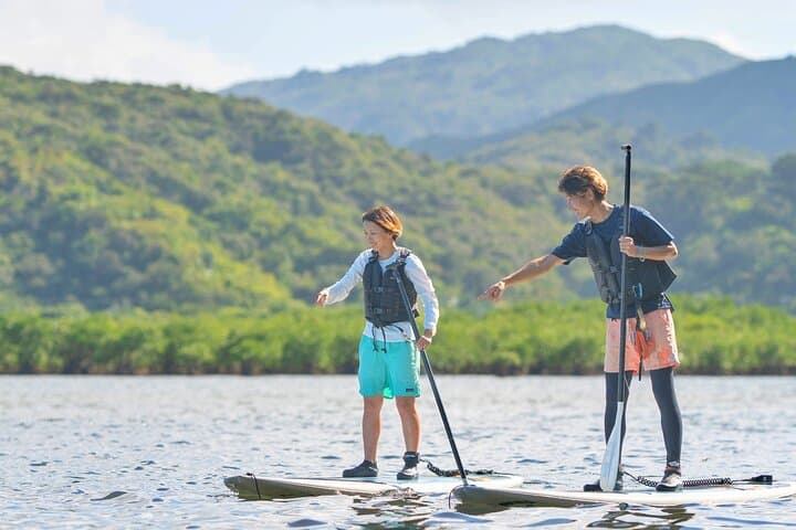 Iriomote Island 1-Day Snorkeling & Mangrove SUP or Canoe — photo 17