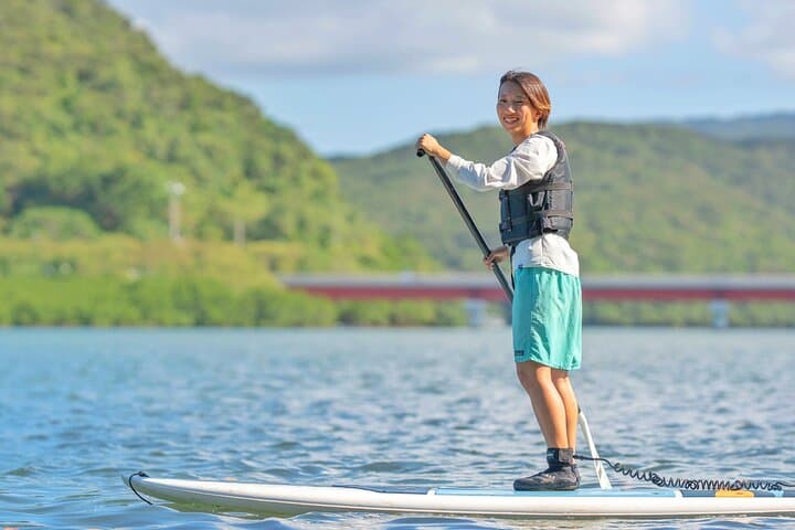 Iriomote Island 1-Day Snorkeling & Mangrove SUP or Canoe — photo 18