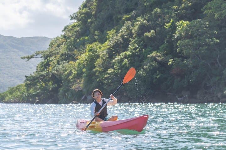 Okinawa Iriomote SUP or Canoe and Sightseeing in Yubujima Island — photo 16