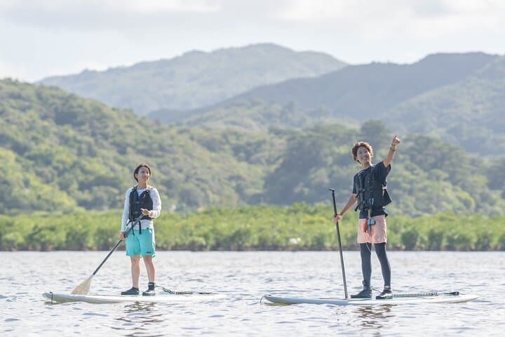 Okinawa Iriomote SUP or Canoe and Sightseeing in Yubujima Island — photo 15