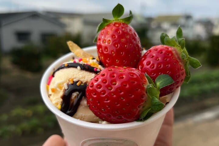 All You Can Eat Strawberry Picking in Izumisano Osaka — photo 11