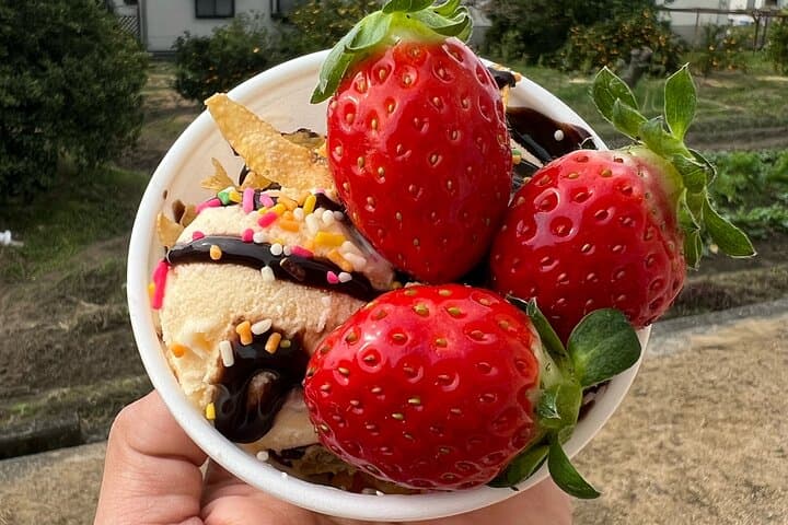 All You Can Eat Strawberry Picking in Izumisano Osaka — photo 12