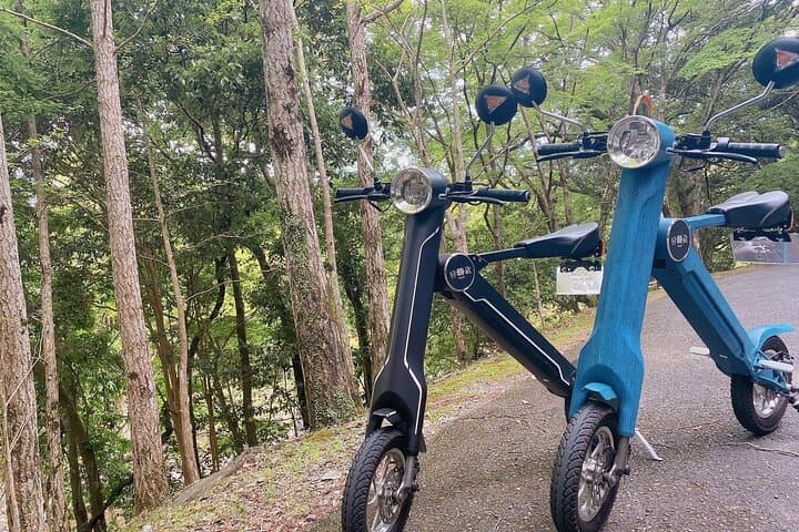 Electric Bike Rental or Tuktuk Tour in Ise — photo 11
