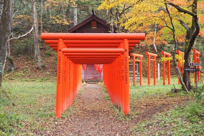 Togakushi: A Serene Walk Through Sacred Forests & Soba Traditions — photo 19