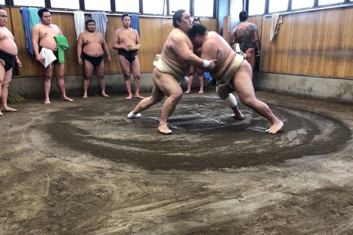 Exclusive Sumo Morning Practice in Tokyo with Photo Opportunity — photo 8