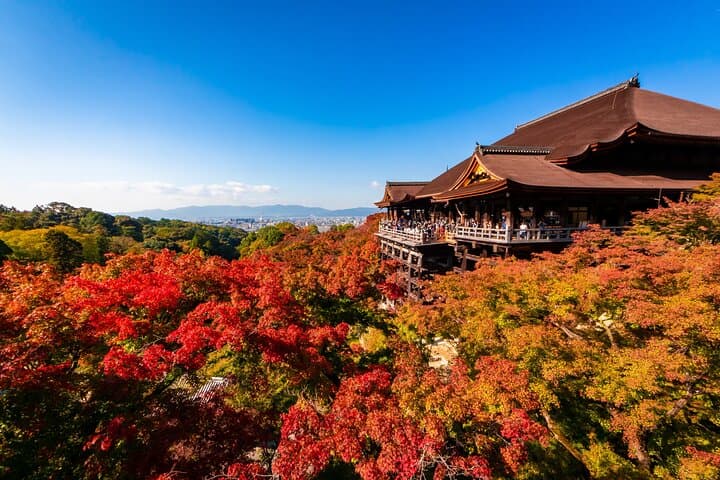 Kiyomizu Temple and Backstreets of Gion, Half Day Group Tour — photo 12