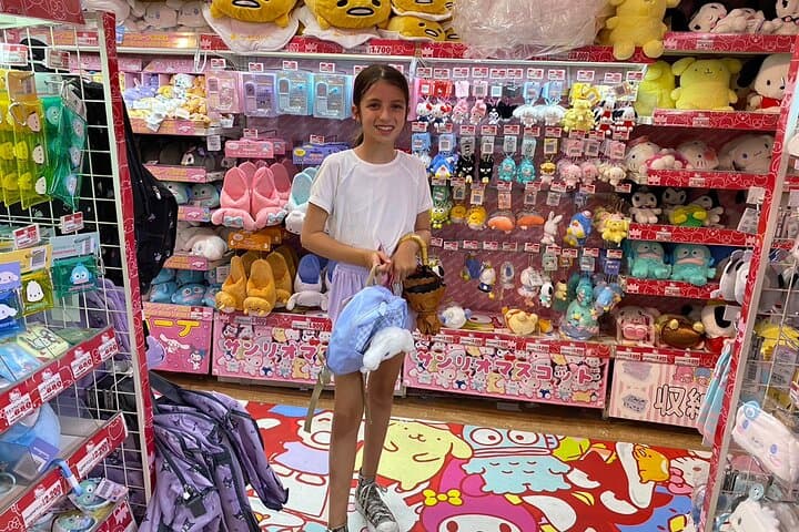 Akihabara Flavors and Anime Fun Private Guided Tour for All Ages — photo 20
