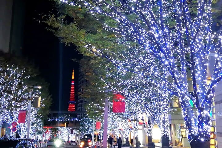 Tokyo Winter Illumination Ebike Tour — photo 6
