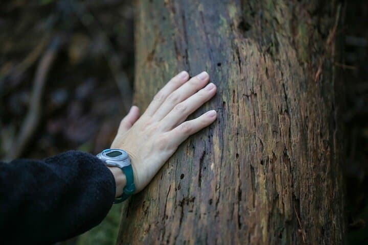 Hike up Mt. Omine and enjoy the view of Miyajima — photo 3