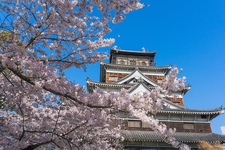 Private Hiroshima Cherry Blossom and Sakura Experience — photo 2