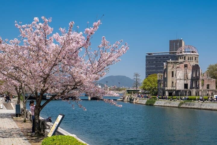 Private Hiroshima Cherry Blossom and Sakura Experience — photo 6