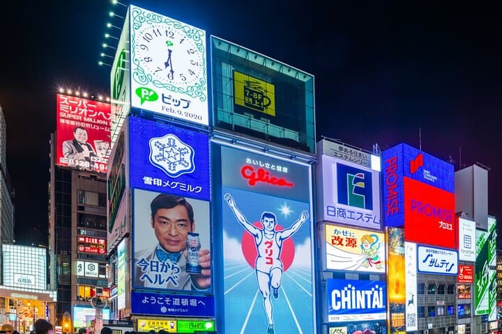 Osaka Flavor Walk Private Tour: Dotombori District & Beyond