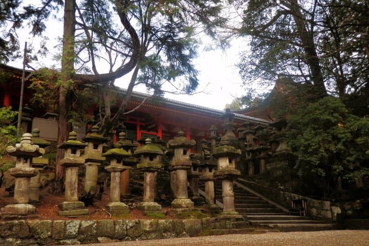 Private Journey in Nara’s Historical Wonder — photo 3