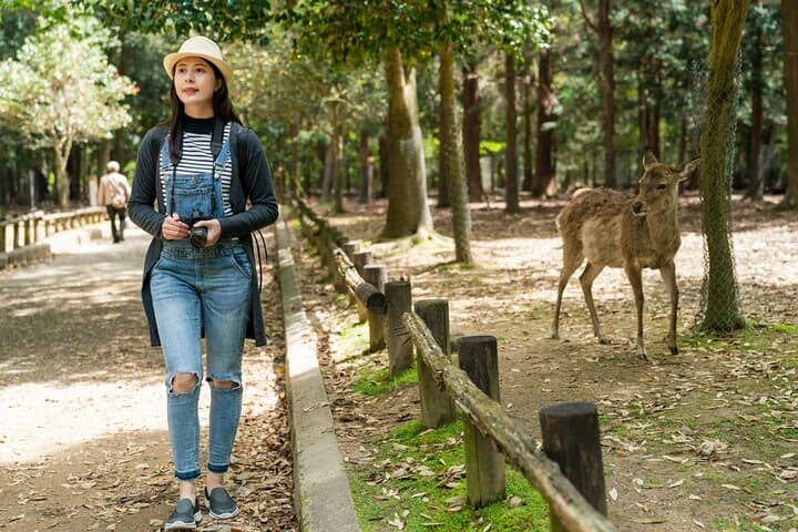 Private Journey in Nara’s Historical Wonder — photo 2