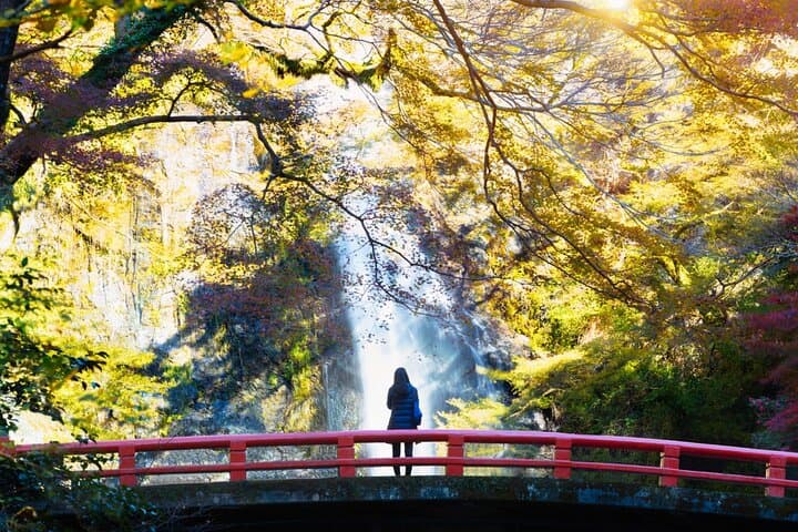 Minoo Park Adventure Private Tour: Nature, Temples & Coffee Bliss — photo 6