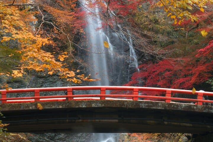 Minoo Park Adventure Private Tour: Nature, Temples & Coffee Bliss