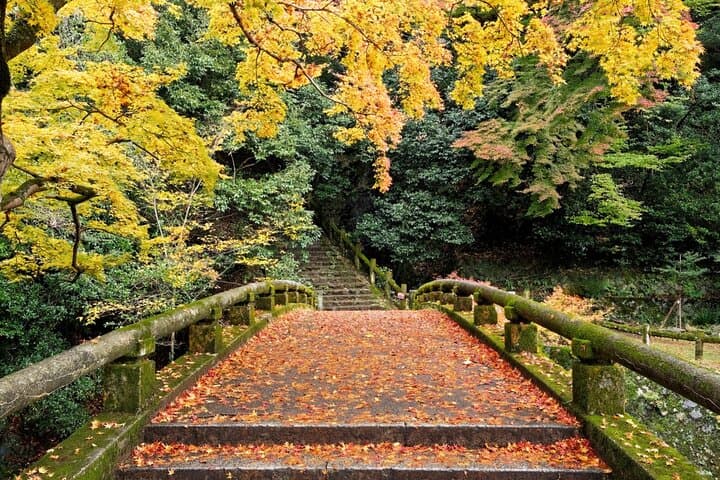 Minoo Park Adventure Private Tour: Nature, Temples & Coffee Bliss — photo 5