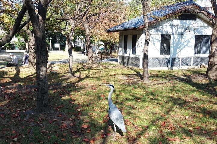 Goshuin Trip around Tennoji Park Osaka — photo 18