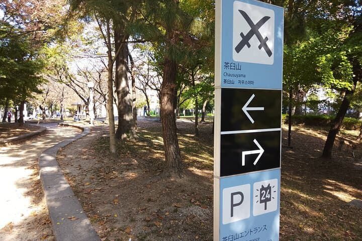 Goshuin Trip around Tennoji Park Osaka — photo 16