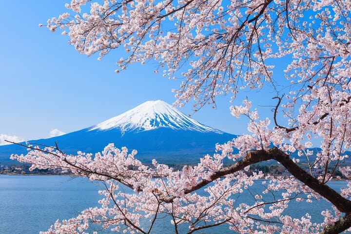 Seasonal Mt. Fuji Scenic Views, Fruit Picking and Ropeway Ride — photo 3