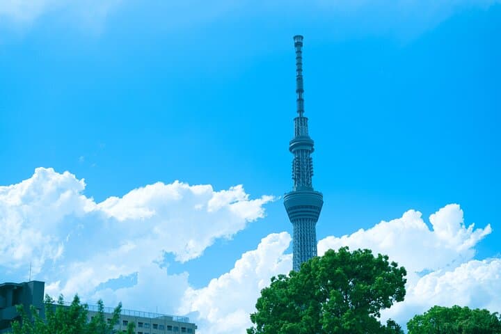 Shore Excursions Tokyo 6h Custom Tour with a Private Vehicle — photo 11