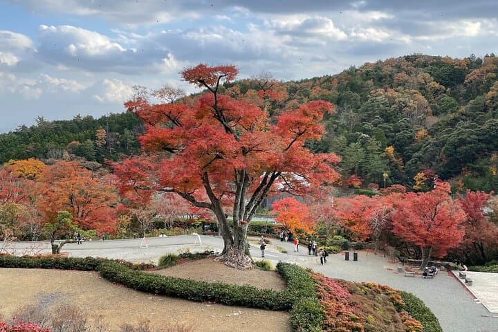 Osaka and Beyond Cycle Tour — photo 5