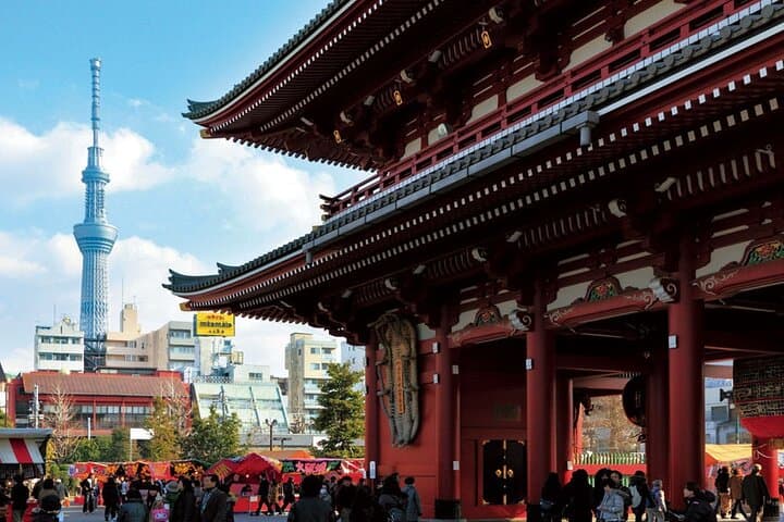 Dynamic Tokyo: Tokyo Tower, Tea Experience, Bay Cruise Day Tour — photo 10