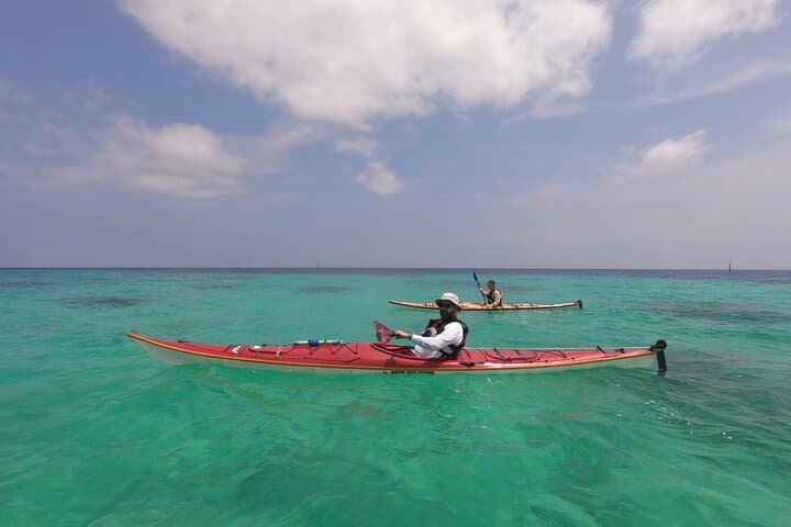 Okinawa - Kayak & Snorkel Private Tour in Yanbaru (North Okinawa) — photo 16