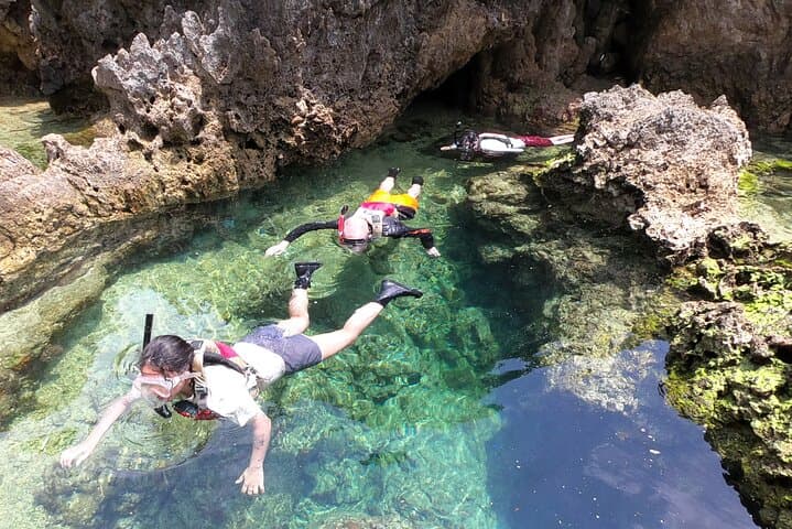 Okinawa - Kayak & Snorkel Private Tour in Yanbaru (North Okinawa) — photo 13