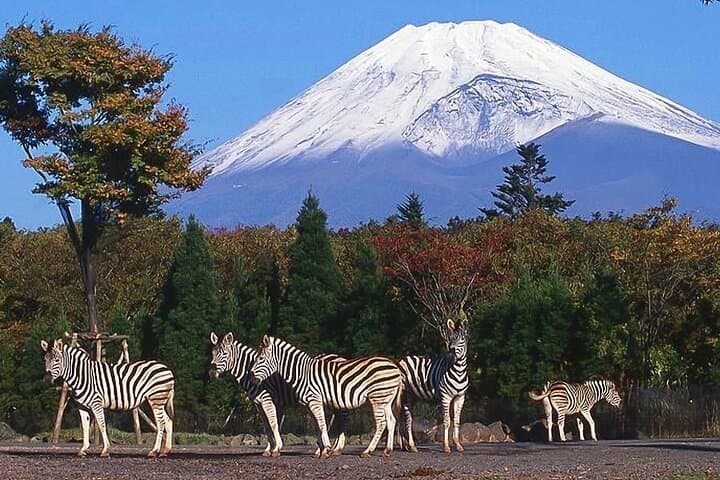 Private Mount Fuji and Hakone City Tour In luxury car from Tokyo — photo 9