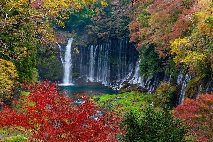 Private Mount Fuji and Hakone City Tour In luxury car from Tokyo — photo 13