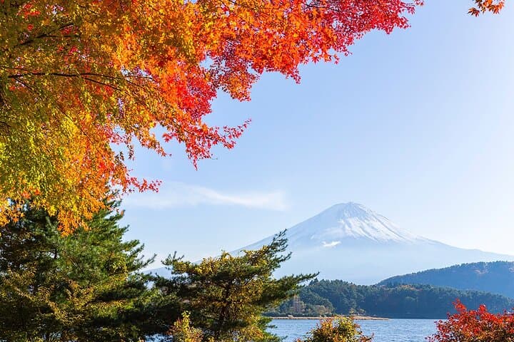 Private Mount Fuji and Hakone City Tour In luxury car from Tokyo — photo 12