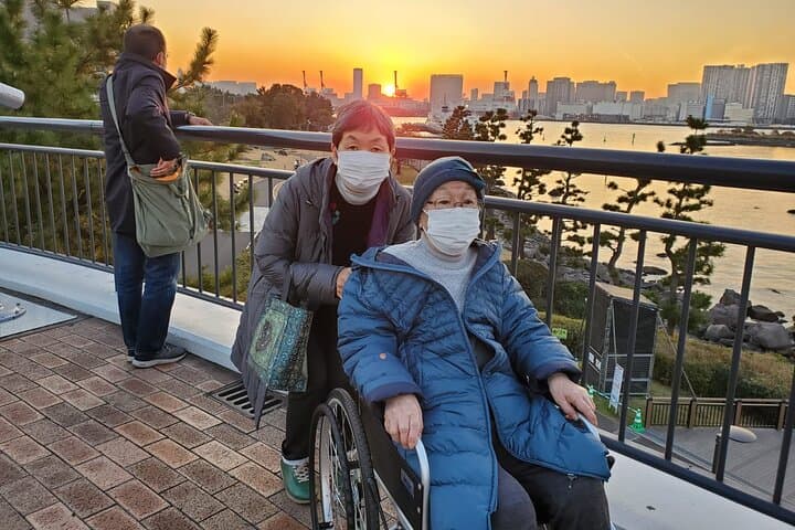 Full Day Private Tokyo Tour for Wheelchair Users by Private Car — photo 16
