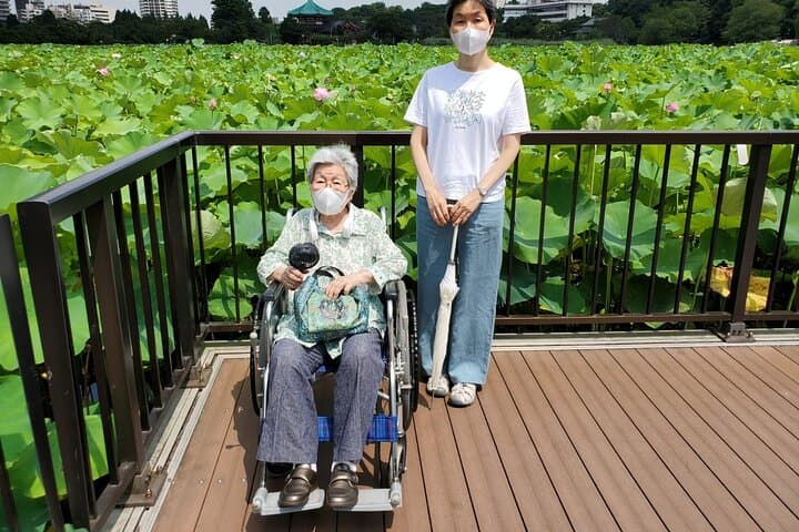 Full Day Private Tokyo Tour for Wheelchair Users by Private Car — photo 17