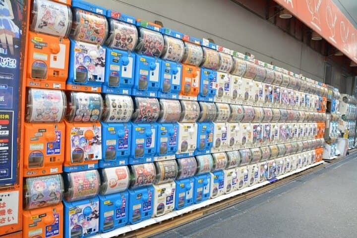 Crazy about Anime! Private Full Day Tokyo Manga Anime Tour by Chartered Vehicle — photo 12