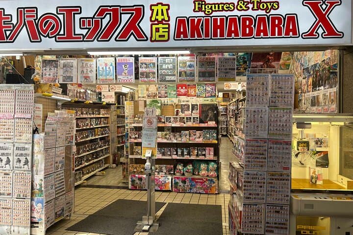 Crazy about Anime! Private Full Day Tokyo Manga Anime Tour by Chartered Vehicle — photo 11