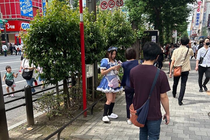 Crazy about Anime! Private Full Day Tokyo Manga Anime Tour by Chartered Vehicle — photo 9