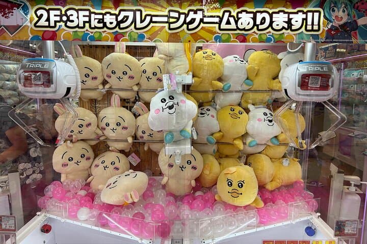 Crazy about Anime! Private Full Day Tokyo Manga Anime Tour by Chartered Vehicle — photo 2