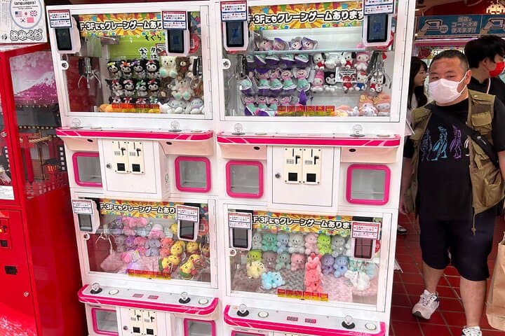Crazy about Anime! Private Full Day Tokyo Manga Anime Tour by Chartered Vehicle — photo 5