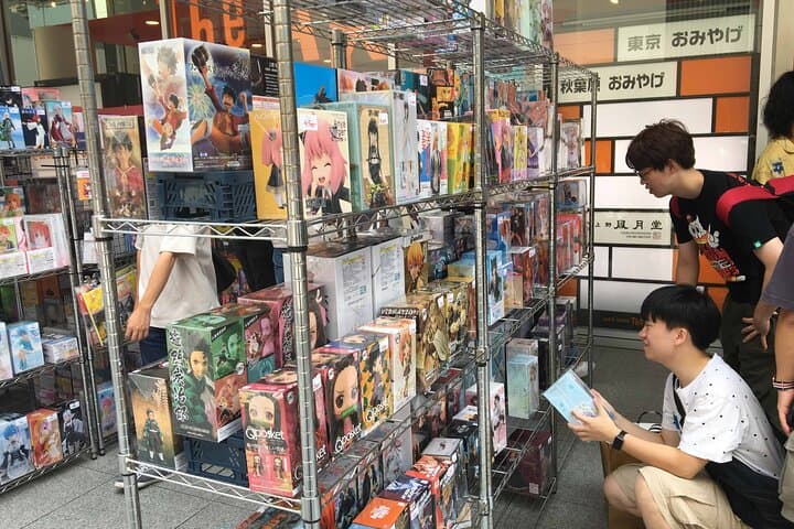 Crazy about Anime! Private Full Day Tokyo Manga Anime Tour by Chartered Vehicle — photo 3