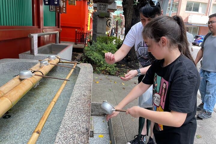 Tokyo in a Day A Tailored Full Day Family Tour with Tasty Bites — photo 12