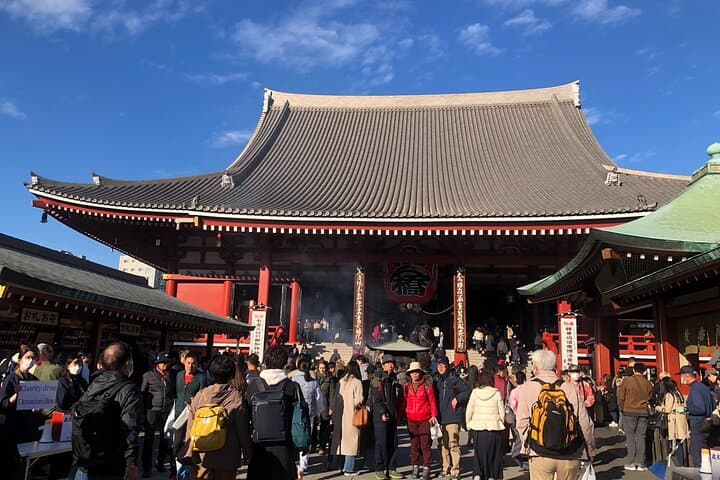 Tokyo in a Day A Tailored Full Day Family Tour with Tasty Bites — photo 14