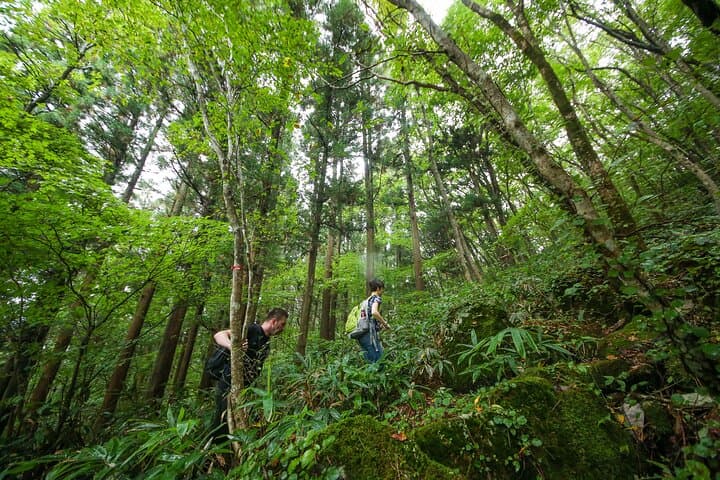 Hike up Mt. Omine and enjoy the view of Miyajima — photo 5