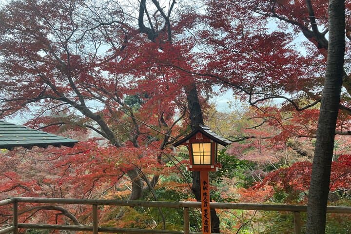 Japanese Home Cooking Class & Nature Walk in Todoroki,Tokyo — photo 18