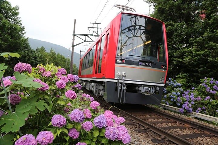From Tokyo to Hakone: Train Tickets and Hakone Free Pass — photo 2