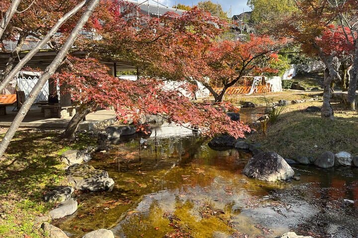 Half-Day Private Guided Tour to Gion in Kyoto — photo 5